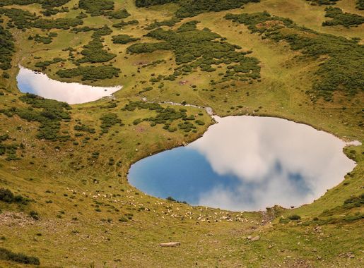 Файл:Vorozheska Zak-153.jpg — Вікіпедія