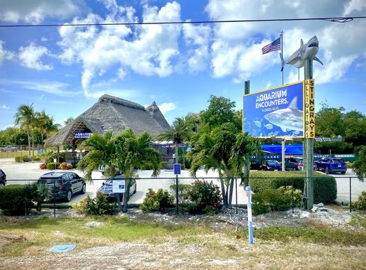 File:Florida Keys Aquarium Encounters, Marathon, Florida.jpg - Wikimedia  Commons