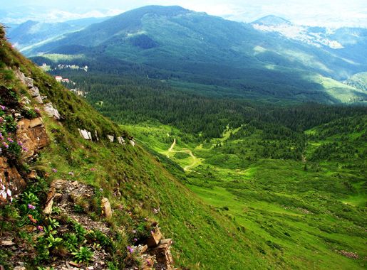 File:Svydovets landscape1.jpg - Wikimedia Commons