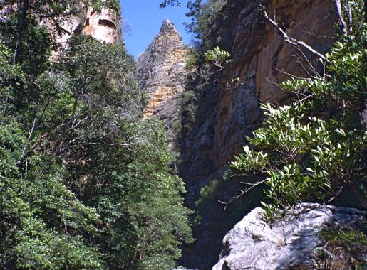 File: Canyon des Singes  (9589928010).jpg - Wikimedia Commons