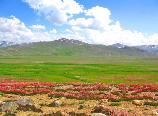 File:Deosai Plateau 2.jpg - Wikimedia Commons