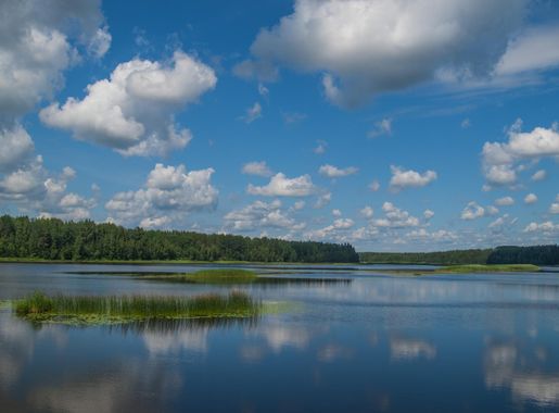 Free Images : river, clouds, sky, reflection, body of water, natural  landscape, cloud, water resources, blue, natural environment, reservoir,  cumulus, daytime, loch, nature reserve, wilderness, horizon, bank, tree,  highland, marsh, calm, floodplain,