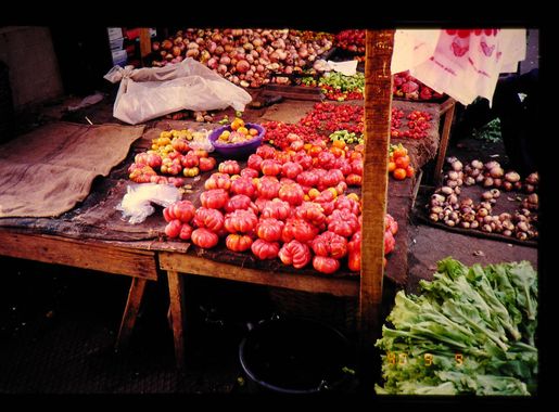 File:JIRCAS tomatoes Grand Marché Niamey.jpg - Wikimedia Commons