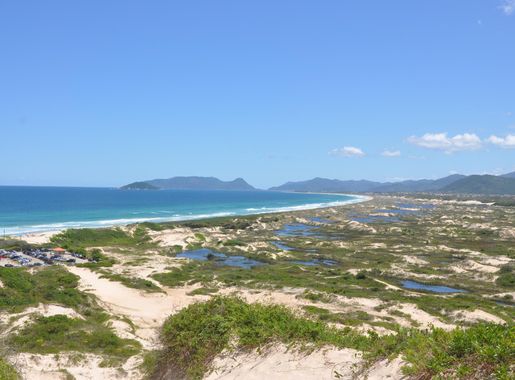 File:Praia da Joaquina Dunes.jpg - Wikipedia