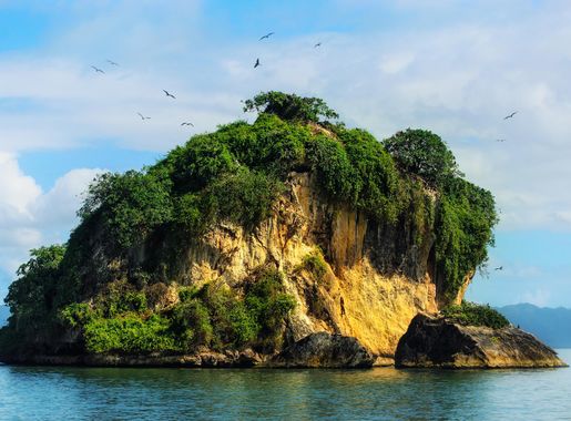 File:Dominican Republic Los Haitises birds island.jpeg - Wikimedia Commons
