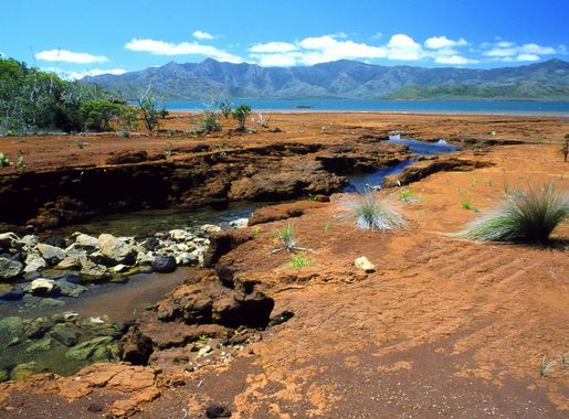 File:Creek South New Caledonia.JPG - Wikimedia Commons