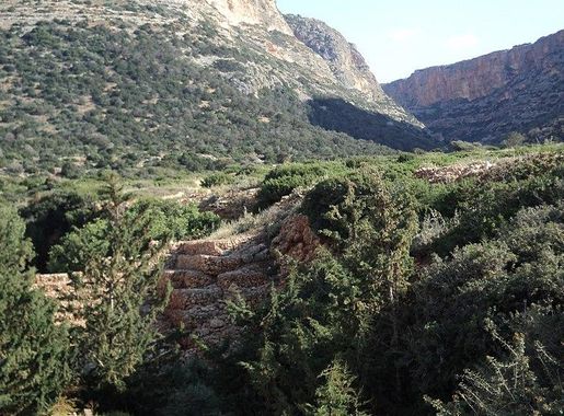 Archivo:A wadi east of Susa01.JPG - Wikipedia, la enciclopedia libre