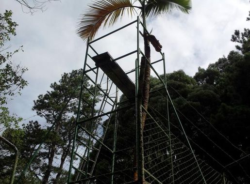 File:SSR Curepipe Botanical Gardens - Mauritius 2.jpg - Wikimedia Commons