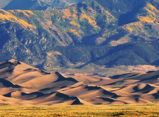 File:Star Dune and Gold Aspens at Sunrise (21501548460).jpg - Wikimedia  Commons