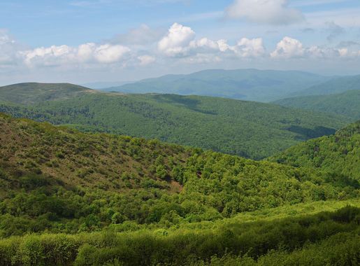 Ingyenes képek : tájkép, fa, természet, erdő, vadon, hegy, nyom, mező, rét,  Kilátás, völgy, hegység, panoráma, utazás, zöld, legelő, Látvány, ünnep,  színes, idegenforgalom, felvidéki, gerinc, felülnézet, felhők, túra,  ünnepek, növényzet, Lengyelország ...