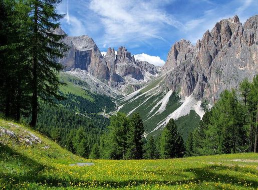 Royalty-Free photo: Rock mountain near pine trees at blue sky | PickPik