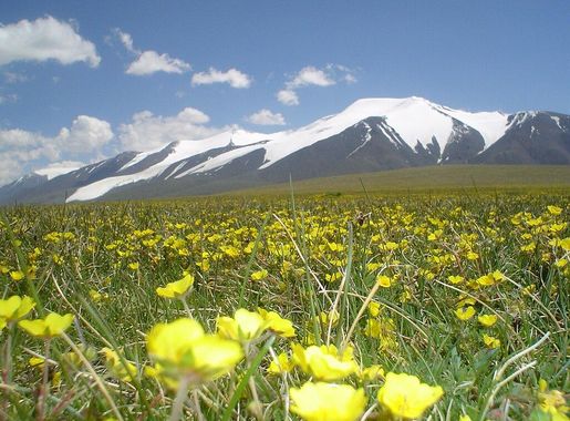 File:Tsambagarav Mountain.JPG - Wikimedia Commons