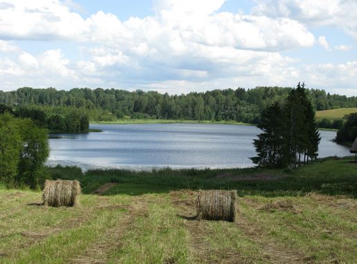 File:Lakevidrike.JPG - Wikimedia Commons