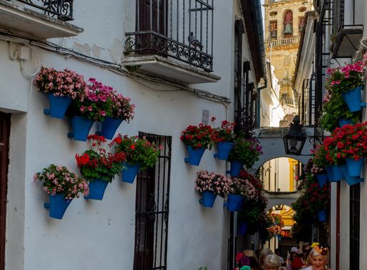 File:Cordoba-28 (48026695918).jpg - Wikimedia Commons