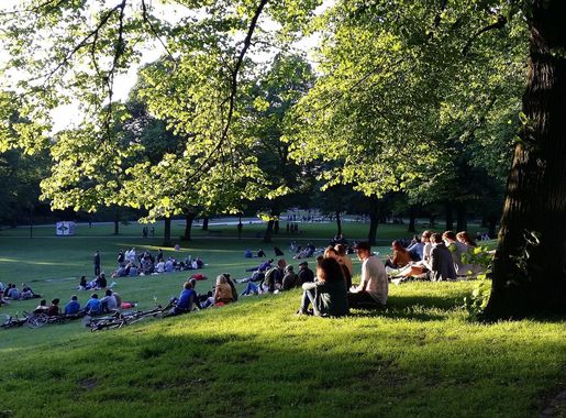 Datei:Schanzenpark im Sommer - Hamburg.jpg – Wikipedia