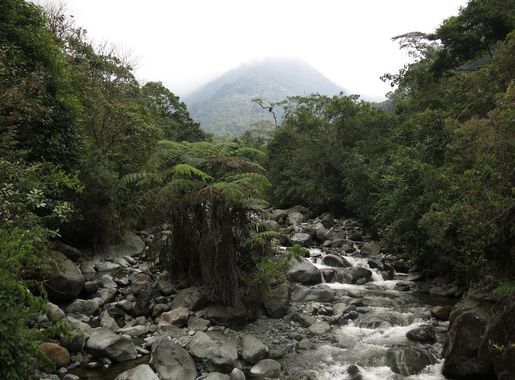 File:Parque de los Farallones de Cali.jpg - Wikimedia Commons