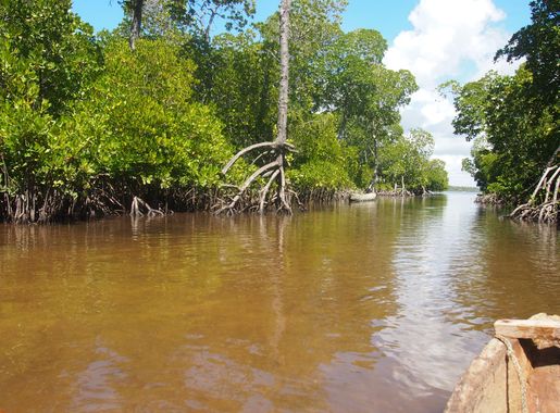 File:Watamu Mida Creek 5.jpg - Wikimedia Commons