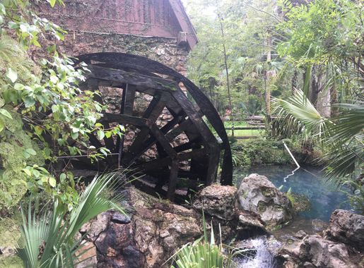 پرونده:Juniper Springs Florida.jpg - ویکی‌پدیا، دانشنامهٔ آزاد