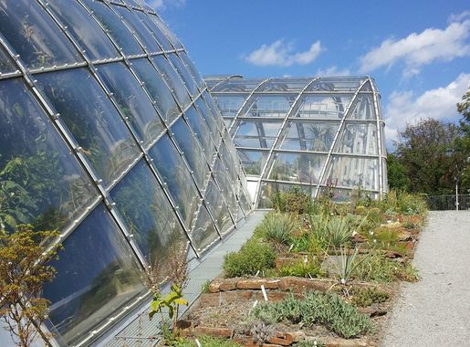 File:Modern Greenhouse Botanical Garden Graz 20120731.jpg - Wikimedia  Commons