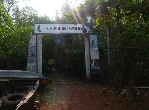 File:Salim Ali Sanctuary.jpg - Wikimedia Commons