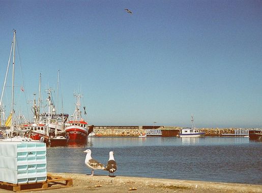 Fil:Østerbyhavn Læsø.JPG - Wikipedia, den frie encyklopædi
