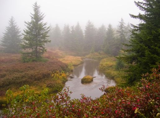File:Passing Red Creek On Dobbin Grade Trail - panoramio.jpg - Wikimedia  Commons
