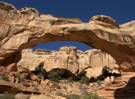 File:Hickman Bridge Capitol Reef National Park USA.jpg - Wikimedia Commons