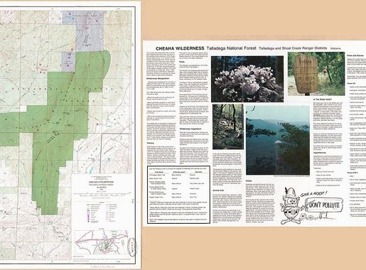 File:Cheaha Wilderness - Talladega National Forest, Alabama, 1986 LOC  2003684015.jpg - Wikimedia Commons