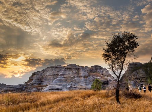 File:Marche matinale dans le Parc National de l'Isalo.jpg - Wikimedia  Commons
