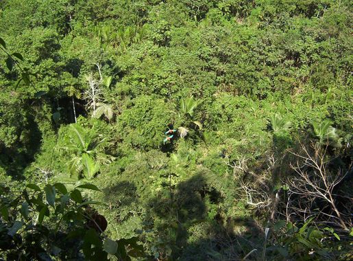 File:Madidi National Park 2006-25-7.jpg - Wikimedia Commons