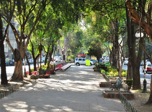 Archivo:Avenida Álvaro Obregón, Colonia Roma, Ciudad de México 2..jpg -  Wikipedia, la enciclopedia libre