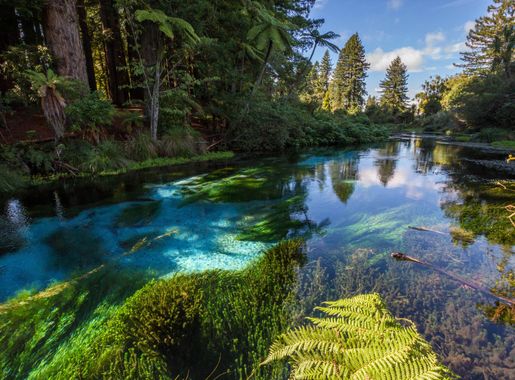 River Scenic and landscape in New Zealand image - Free stock photo - Public  Domain photo - CC0 Images