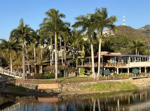 Archivo:Puerto Vallarta, MX (2023) - 066.jpg - Wikipedia, la enciclopedia  libre