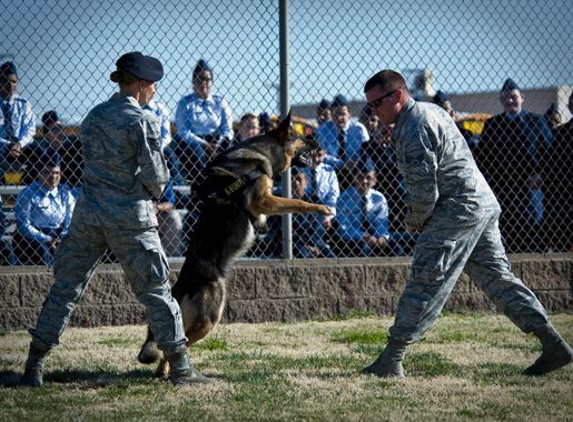 99th SFS wins ACC Outstanding Large Security Forces Unit award > Nellis Air  Force Base > Article Display