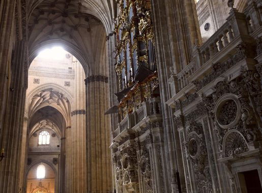 File:Inside the New Cathedral in Salamanca, Spain (35966610860).jpg -  Wikimedia Commons