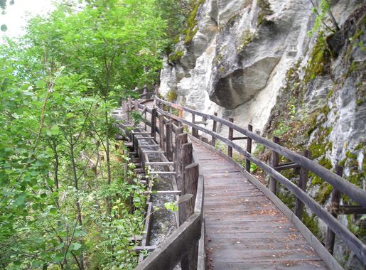 File:GBDV cwilla.JPG - Wikimedia Commons