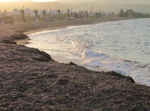 File:Zypern 11 2013 Latchi Strand.JPG - Wikimedia Commons