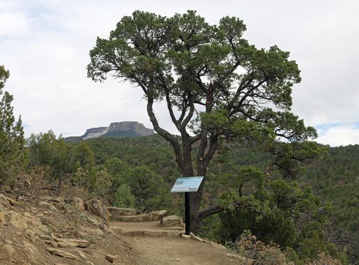 File:First Look Trail at Fishers Peak State Park.JPG - Wikimedia Commons