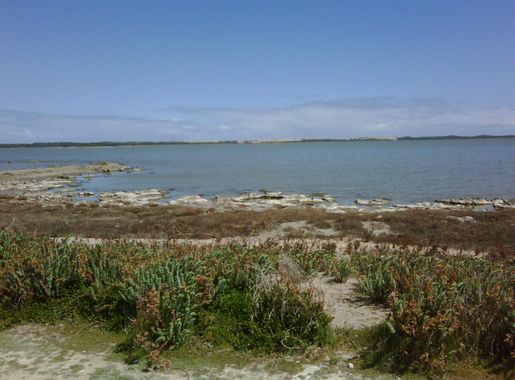 File:CoorongSaltCreek.jpg - Wikimedia Commons