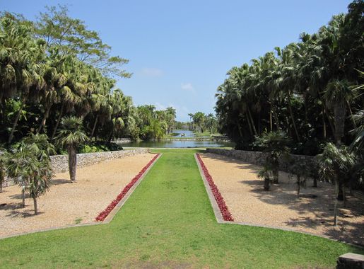 File:Bailey Palm Glade (5752321428).jpg - Wikipedia