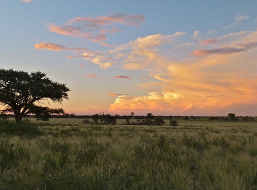 File:Kalahari Sunset ... (7017593771).jpg - Wikimedia Commons