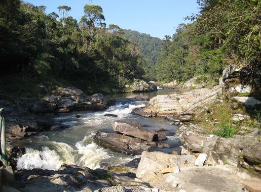File:River, Ranomafana National Park (4041897269).jpg - Wikimedia Commons