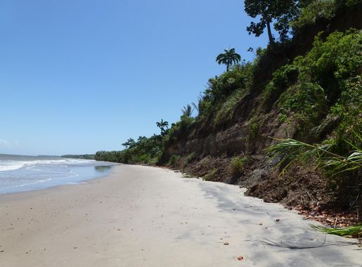 File:Chatham Beach, South Coast, Trinidad and Tobago 3.JPG - Wikimedia  Commons