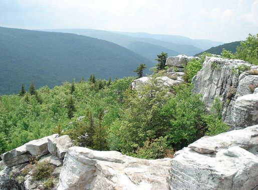 File:DollySods1.JPG - Wikimedia Commons