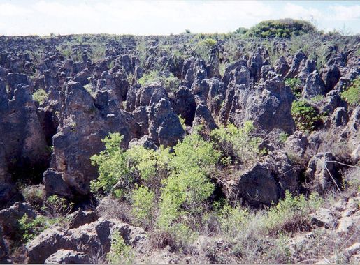 File:Karst following phosphate mining on Nauru.jpg - Wikipedia