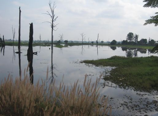 File:TaMokLake.JPG - Wikimedia Commons