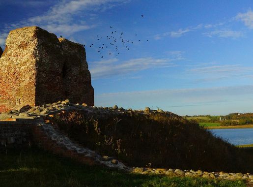 Fil:Kalø Slotsruin med flok af kragefugle.jpg - Wikipedia, den frie  encyklopædi