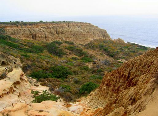 File:Torrey Pines State Park Valley.jpg - Wikipedia