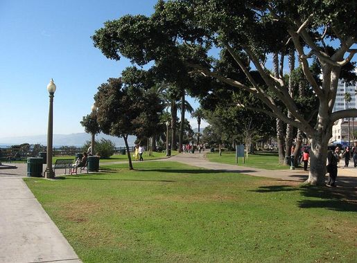 File:Palisades Park, Santa Monica, California (3124894297).jpg - Wikimedia  Commons
