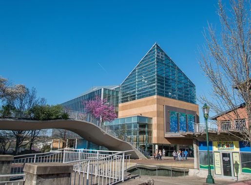 File:TN Aquarium 02.jpg - Wikimedia Commons